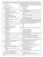 kiensinh@thaiphien.edu..vn