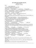 DE CUONG ON THI SU 7