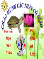 Vẽ mẫu vào hình có sẵn