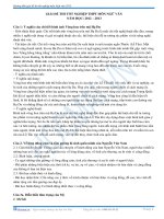 Hướng dẫn giai đè thi Tót nghiep môn Văn 2013