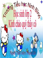 giáo án dien tư lop 2