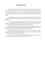 chiến lược phát triển sản phẩm mới cho công ty dầu gội unilver