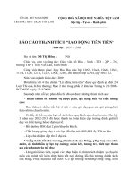 BAO CAO THANH TICH_LDTT