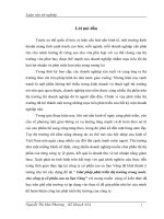 Luận văn tốt nghiệp: Giải pháp phát triển thị trường trong nước cho công ty cổ phần cao su Sao Vàng