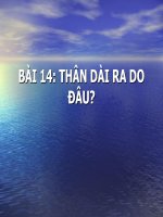 Than dai ra do dau