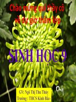 tiết 30-bệnh và tật di truyền ở người