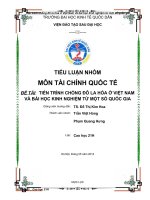 tiểu luận môn tài chính quốc tế tiến trình chống đô la hóa ở việt nam và bài học kinh nghiệm từ một số quốc gia