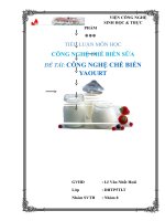 iểu luận công nghệ chế biến sữa: Công nghệ chế biến Yaourt