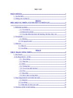 XÂY DỰNG NÔNG THÔN mới xã vạn BÌNH   HUYỆN vạn NINH   TỈNH KHÁNH hòa GIAI đoạn 2011 2015, 2016 2020, ĐỊNH HƯỚNG đến năm 2030