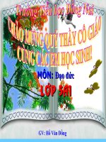 Đạo đức lớp 5 bài 12