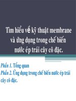 Đồ án Ứng dụng kĩ thuật Membrane trong chế biến nước ép trái cây cô đặc