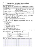 De toan, tieng viet 5 nam 2013