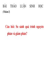 So sanh qua trinh nguyen phan va giam phan2