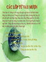 Các lớp từ vay mượn