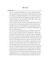 khai báo hải quan điện tử