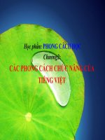 Phong cách học tiếng việt