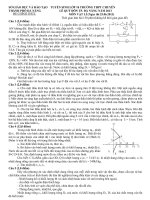 Đề Tuyển Sinh Chuyên Lí LQĐ Đà Nẵng 2013