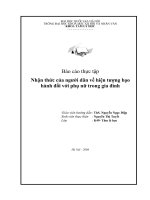 Nhận thức của người dân về hiện tượng bạo hành đối với phụ nữ trong gia đình