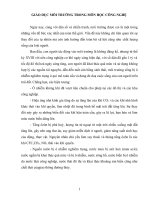 bài giảng về môi trường