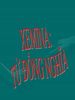 Từ đồng nghĩa tiếng việt