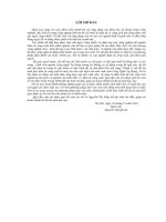 Bộ nghịch lưu áp một pha