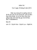 can ban Chim tri quynh hoa- quynh luu-nghe an