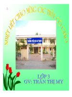 lop 3 Co giao ti hon