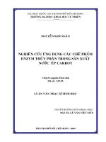 Nghiên cứu ứng dụng các chế phẩm enzym thủy phân trong sản xuất nước  ép Carro