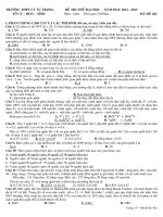 De thi thu cua Ly Tu Trong L1 2013