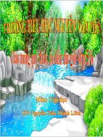 trồng rừng ngập mặn