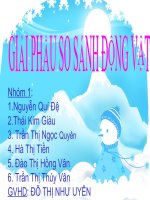giai phau so sanh dong vat