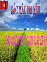 Tập đọc: Sắc màu em yêu