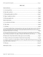 SKKN một số biện pháp đổi mới về công tác quản lý ở trường trung học cơ sở mỹ phước, bến cát, bình dương