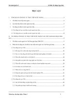 tiểu luận môn tài chính quốc tế phân tích những tác động của vốn đầu tư trực tiếp nước ngoài vào việt nam bài học kinh nghiệm trong quản lý hoạt động đầu tư nước ngoài vào việt nam