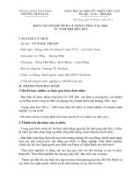 BAN THANH TICH DOI 2013