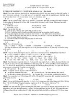 Đề suýt thi thử đợt 2-2013-ĐHKH Huế môn Hóa