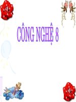 mối ghép cố định - Lương Trường Liên