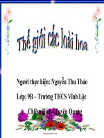 thực hành tin học