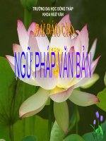 Ngữ pháp văn bản tiếng việt