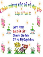 PTNT: Toán số 6 tiết 1