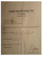 DE THI GIAO LUU TOAN TUOI THO TOAN QUOC NAM 2013