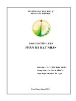 Báo cáo khoa học tự nhiên Phân rã hạt nhân