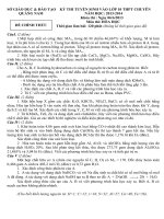 Đề thi chuyên NBK quang nam