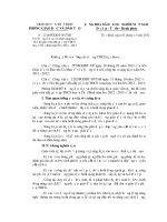 HUONG DAN VIET SKKN - THOI BINH - CA MAU