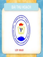 BÀI THU HOẠCH ĐỘT BIẾN GEN