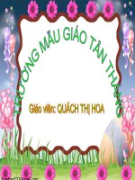 NẶN CAC LOẠI QUẢ