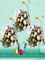 Chuong 2 - bai:Ham so bac nhat