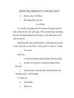 de kien tra hoc ki II