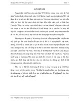 tiểu luận môn tài chính quốc tế một số giải pháp kiềm chế và đẩy lùi tình trạng đô la hóa và sùng bái ngoại tệ ở việt nam