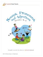 teacher''''s vision book: teaching nouns, pronouns and adjectives - Grade 4